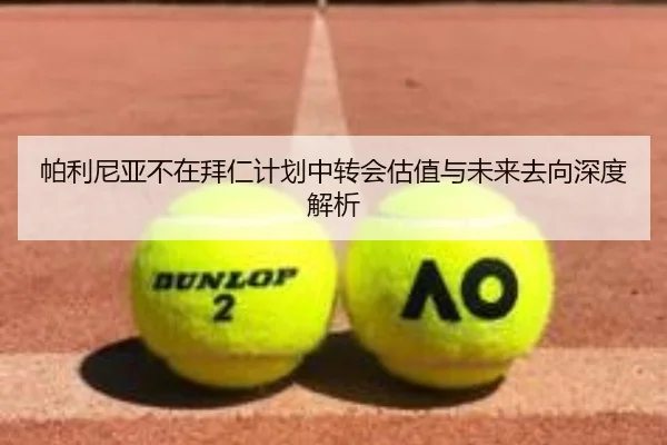 帕利尼亚不在拜仁计划中转会估值与未来去向深度解析